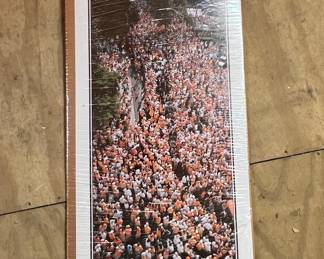 The Vol Walk Poster