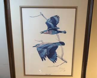 Guy Coheleach "Indian Rollers" Print