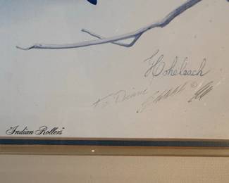 Guy Coheleach "Indian Rollers" Print