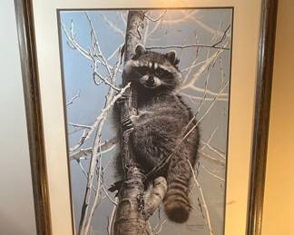 Charles Frace "Raccoon in Tree" Limited Edition Print
