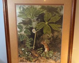 Jean Victor Botanical With Chipmunk Print