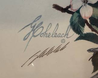 Guy Coheleach "Evening Grosbeak" Print