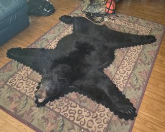 Black Bear Rug, excellent condition