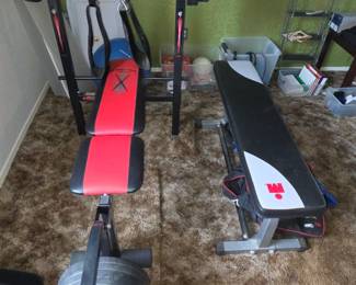 Gym set and secondary bench