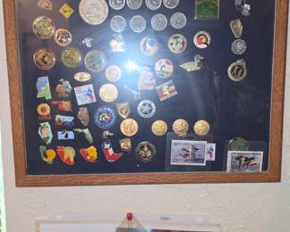Pin display