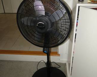 Standing Fan