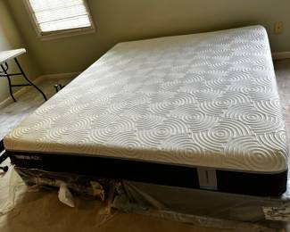 #4	Tempurpedic King Size Mattess/Boxsprings - Brand New w/plastic	 $400.00 