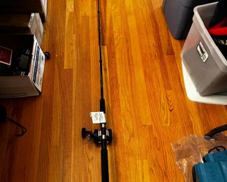 #178	Abu Garcia "Stamina" Rod Model ST601BR with ABU Garcia Trolling 300 Reel	 $65.00 
