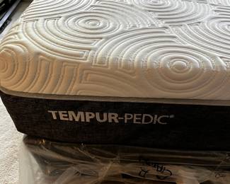 #4	Tempurpedic King Size Mattess/Boxsprings - Brand New w/plastic	 $400.00 