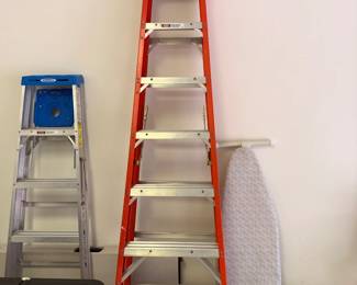 10 Ft Werner metal ladder