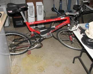 Schwinn S-20 mountain bike
