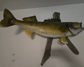 Mounted fish