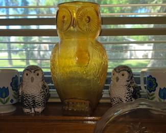 Owl Collection