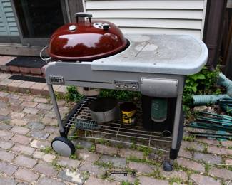 864Back Yard