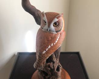 All have plexiglas domes and rotating stands