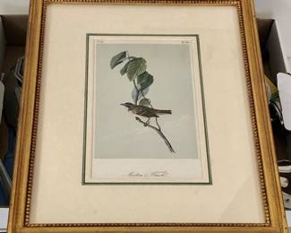 Audobon Octavo Print