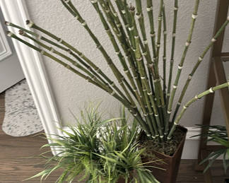 Lot 24: Decorative Potted Plants and Green Topiary Spheres