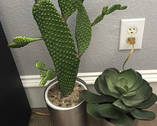 Lot 43: Assorted Potted Plants