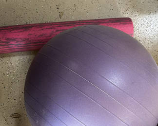 Lot 16: Exercise Stability Ball, Foam Roller, and Balance Trainer Base