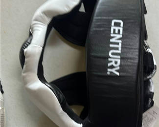 Lot 6: Mixed Boxing and MMA Training Gear Set