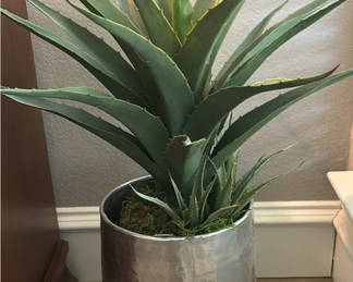 Lot 151: Three Potted Decorative Plants