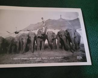 Early 1900's Circus Photo Flyers by CENTURY, N.Y.C