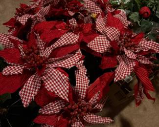 Red check Poinsettias 