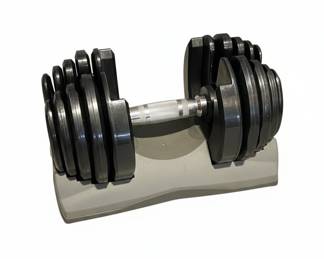 Bowflex SelectTech 552 Adjustable Dumbbells with Rack
