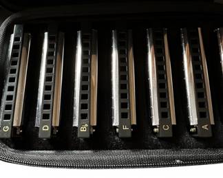 Hohner Marine Band Harmonica Set