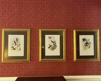 F28 - $90. Set of 3 Gould Hummingbird Prints. Framed each measures 22.75" x 28.75".