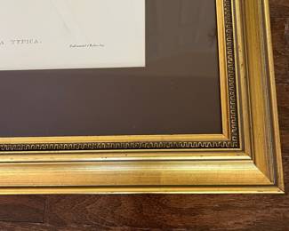 F28 - $90. Set of 3 Gould Hummingbird Prints. Framed each measures 22.75" x 28.75".