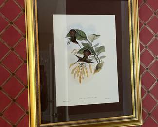 F28 - $90. Set of 3 Gould Hummingbird Prints. Framed each measures 22.75" x 28.75".