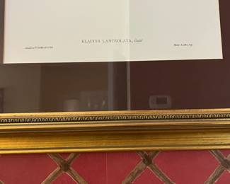 F28 - $90. Set of 3 Gould Hummingbird Prints. Framed each measures 22.75" x 28.75".