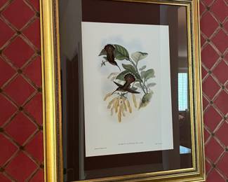 F28 - $90. Set of 3 Gould Hummingbird Prints. Framed each measures 22.75" x 28.75".