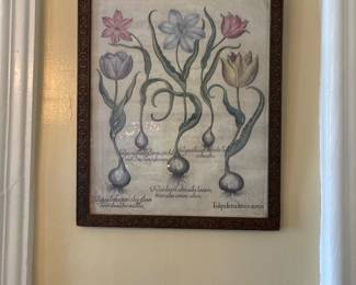 Botanical print in carved wood frame