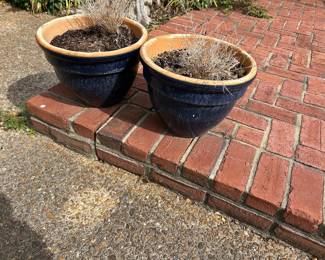 Pair of blue pots