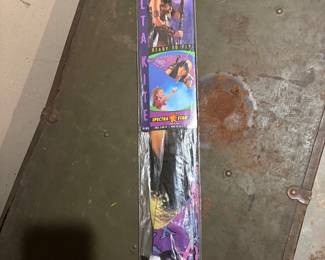 Xena Kites - have 4 of them