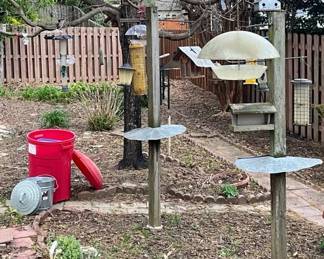 Bird Feeders And Feed