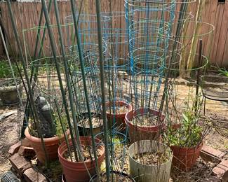 Tomato Cages, Plants, And More