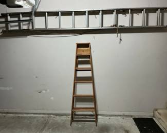 2 Garage Ladders