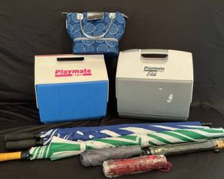 Playmate By Igloo Coolers