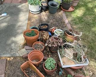 Miscellaneous Planters And Plants