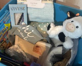 Baby boy tote all new items