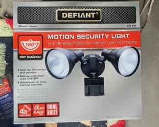 Security light