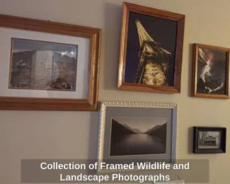 Collection of Framed Wildlife and Landscape Photographs