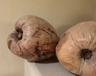 Dried Coconuts Pair second image