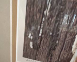 The Watcher Limited Edition Print by Carl Brenders third image