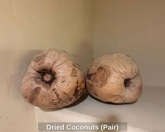 Dried Coconuts Pair