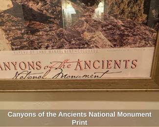 Canyons of the Ancients National Monument Print second image