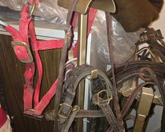 Reins, bits, bridges, harnesses lead ropes, and more! Starting at $5.